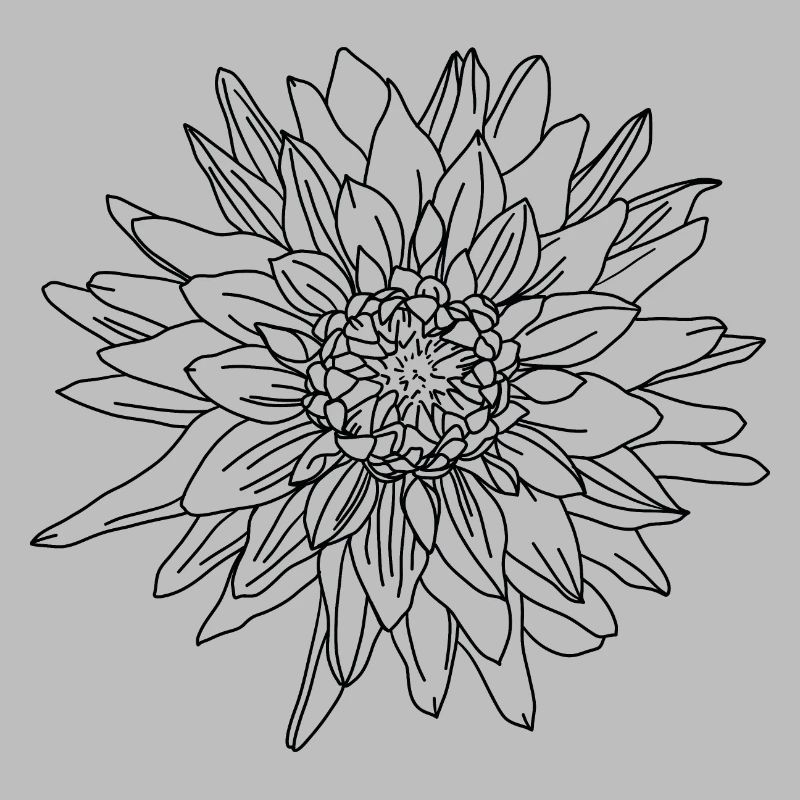 Herbstblume Dahlie