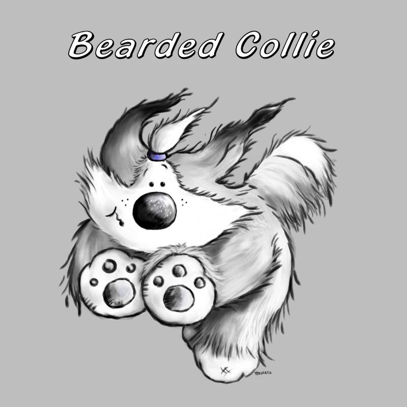 Running Bearded Collie