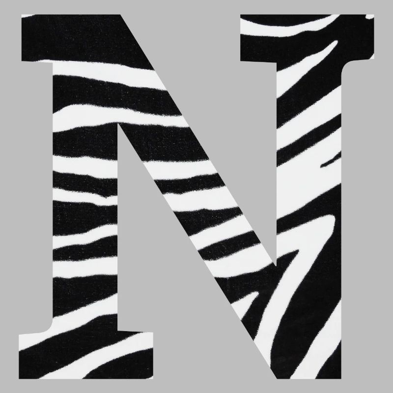 Letter n zebra