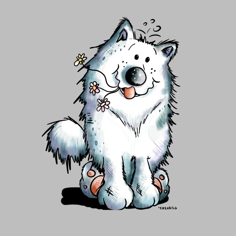 Mignon Samoyède Chien