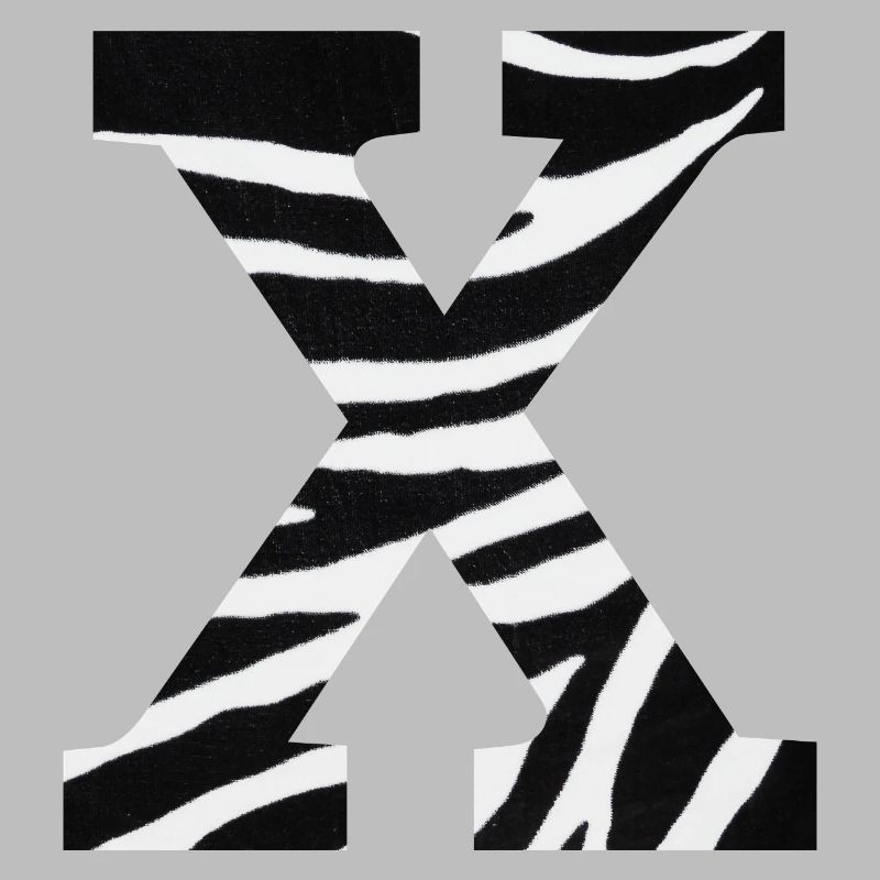 Buchstabe x Zebra