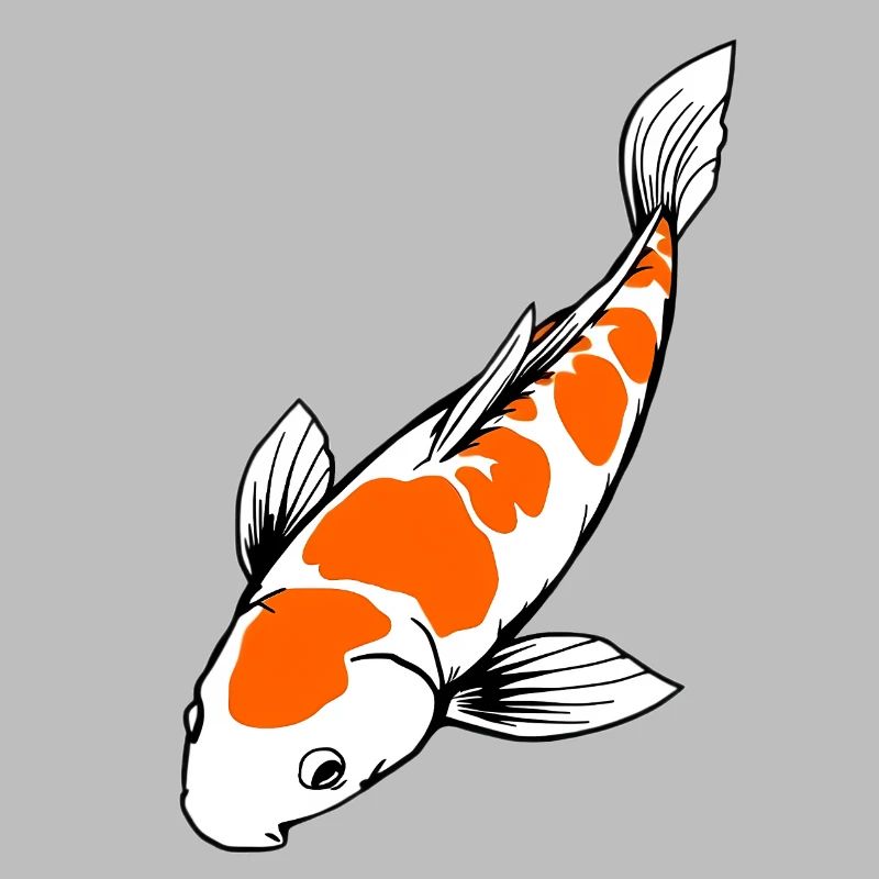 Poisson Koi