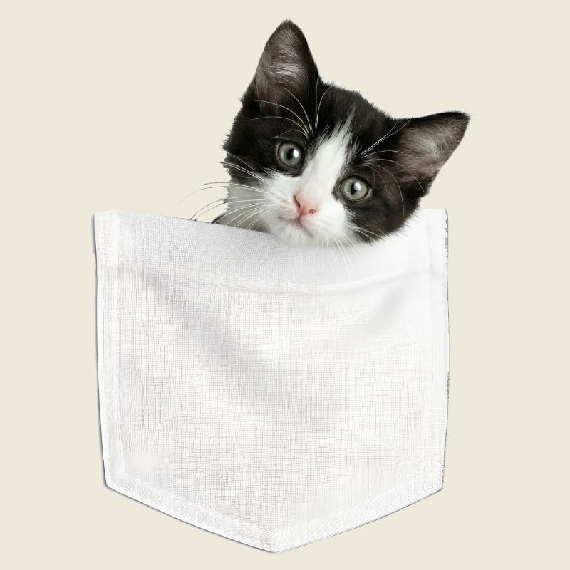 Cat Pocket peeks cute cat in the pocket
