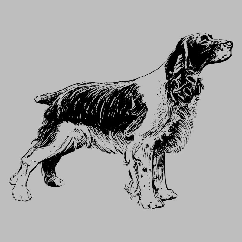 hound