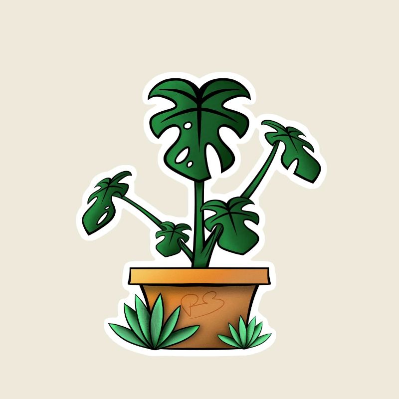 Monstera !