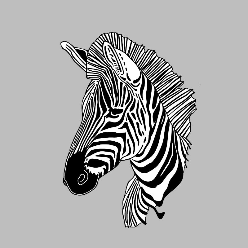 Linien Kunst Zebra #zebra