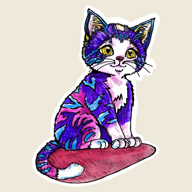 Petit chat à la fourrure violette