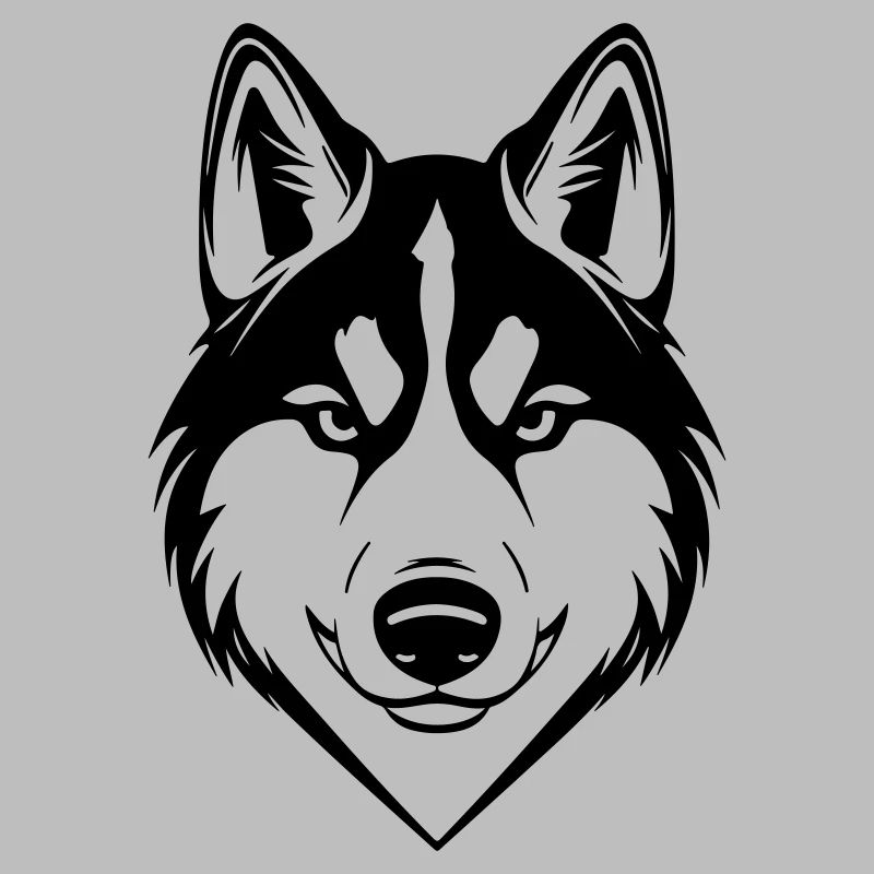 Tête de chien Husky