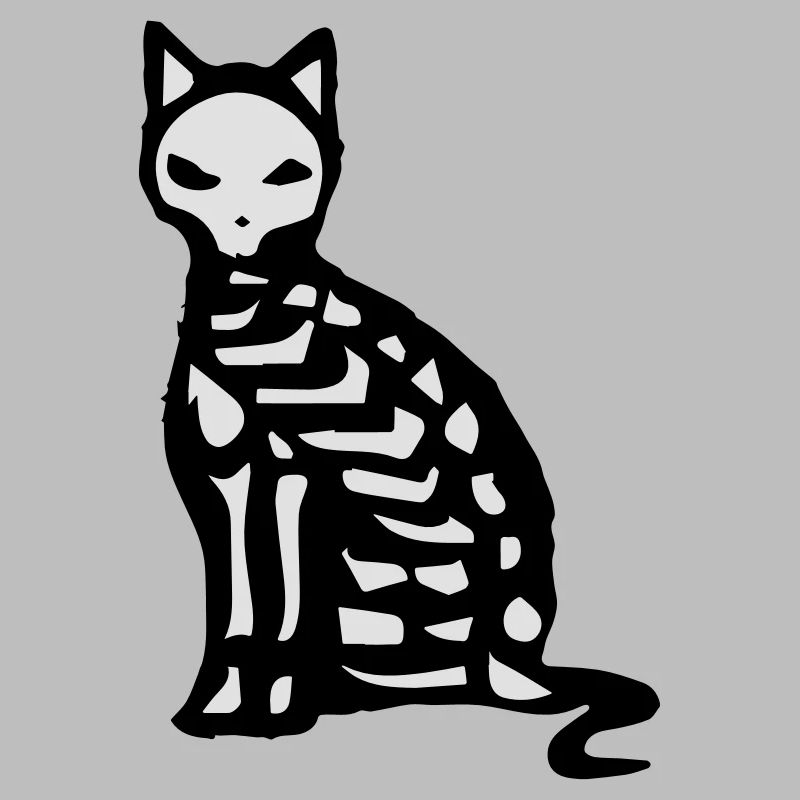 Skelett und Knochen einer Katze