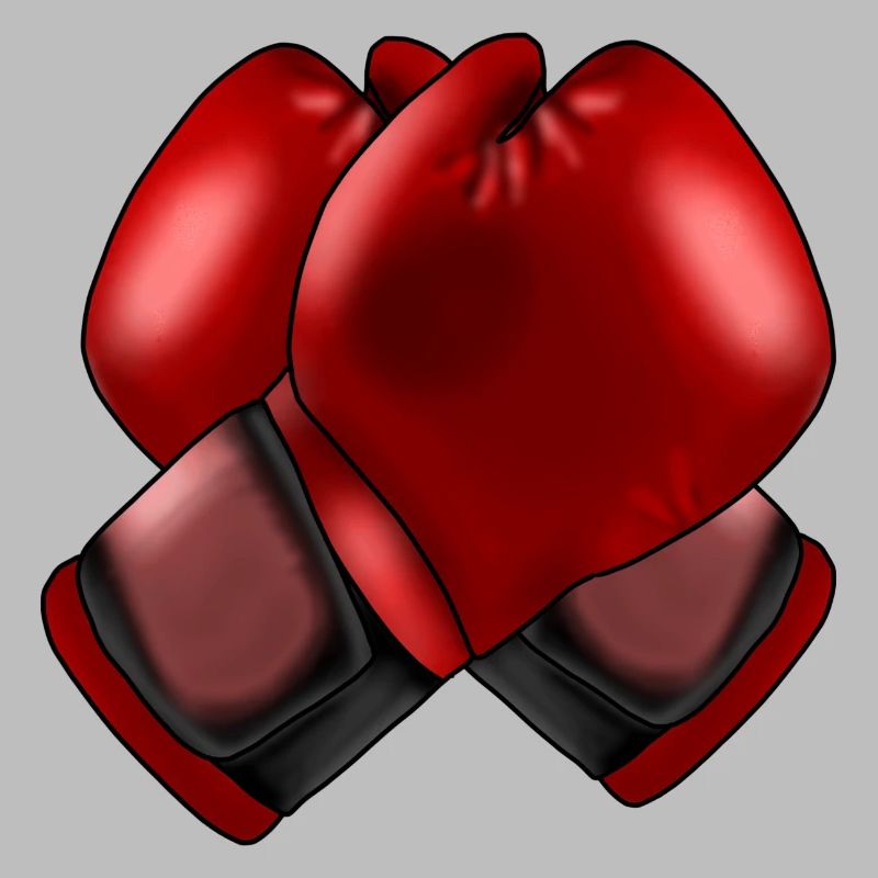 Boxhandschuhe 4