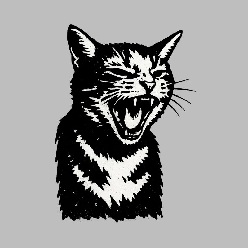 Schreiender Schattenkater