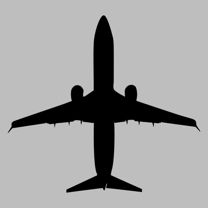 Flugzeug