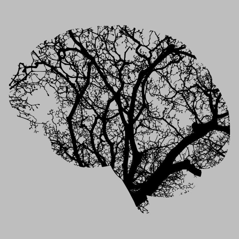 la conception du cerveau