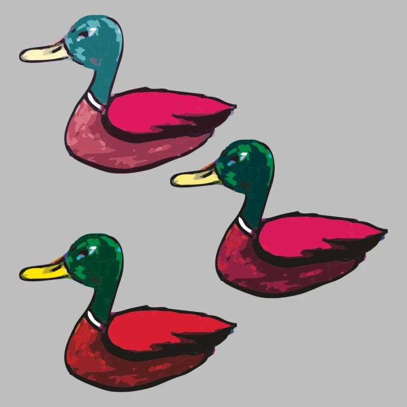 Canards pack de trois