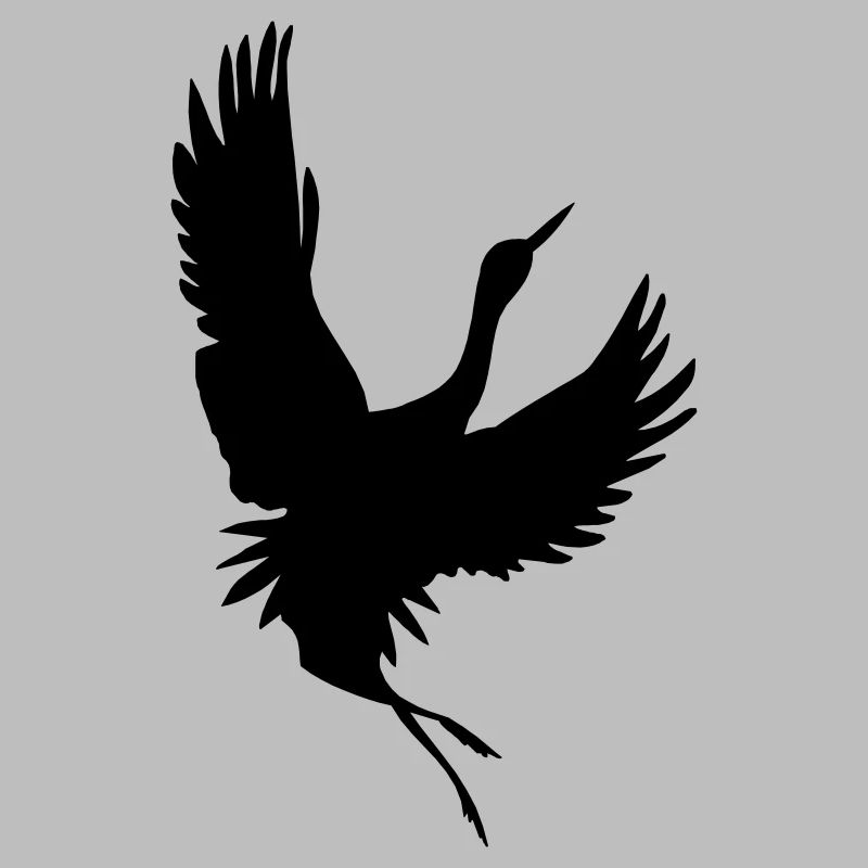 Crane shadow figure