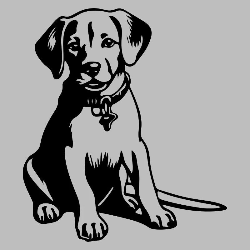 Beagle Hund