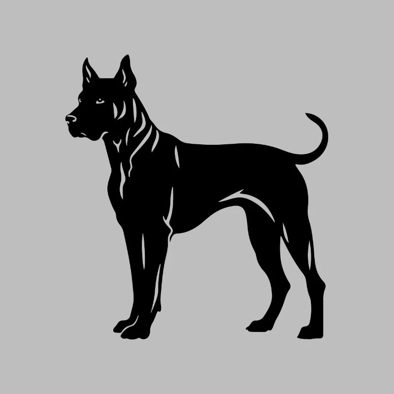 Chien Dogue Argentin