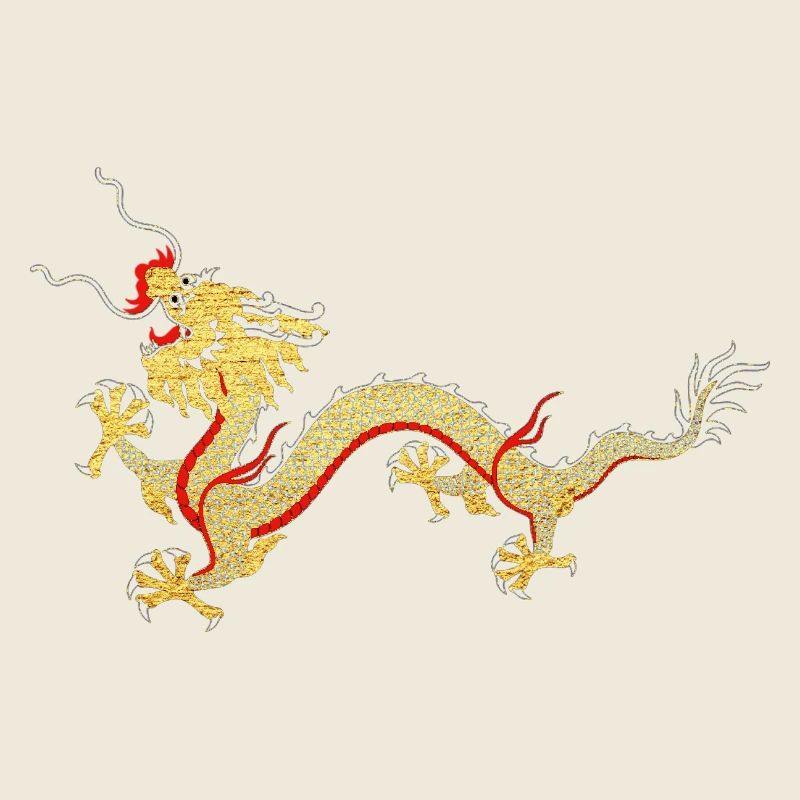 Asian Dragon Fortune Protection Symbol