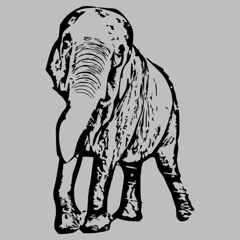 Elephant black