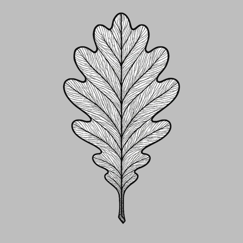 Monochrome oak leaf design
