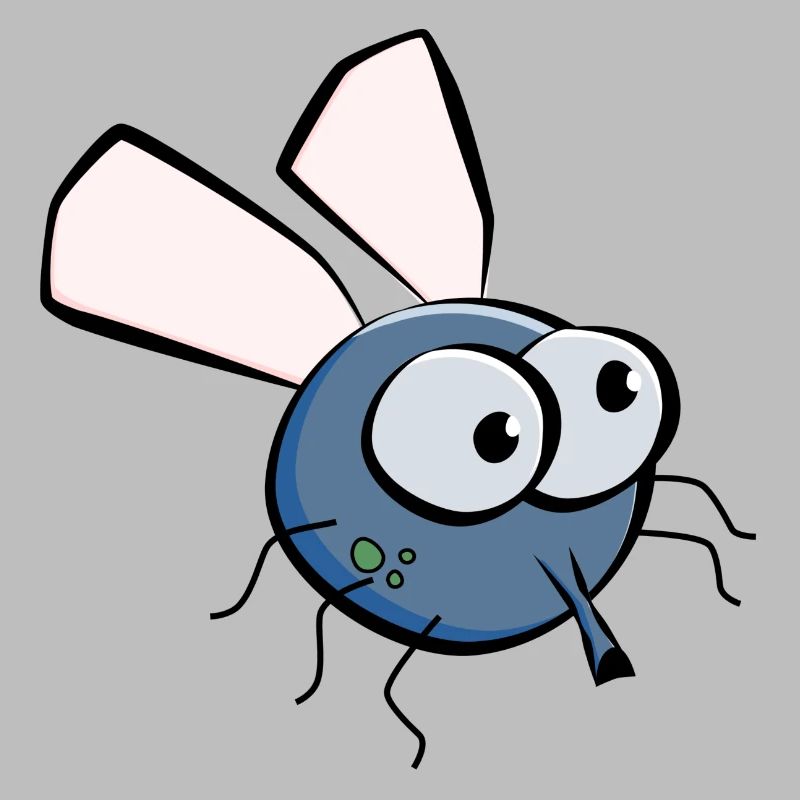 Fly