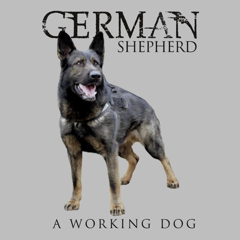 German Shepherd Dog