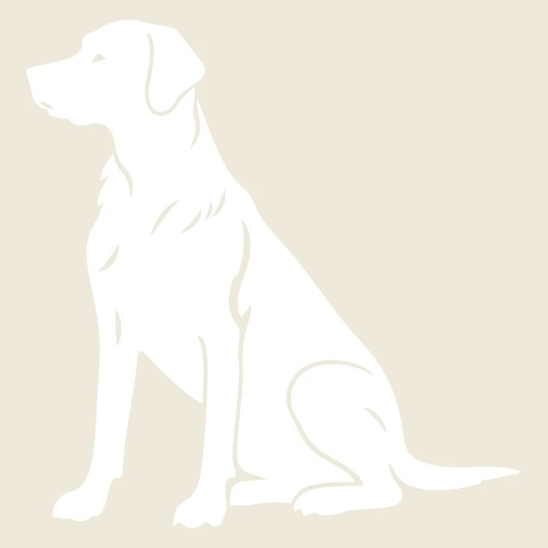 Dackel Dachshund Silhouette Hund Silhouette