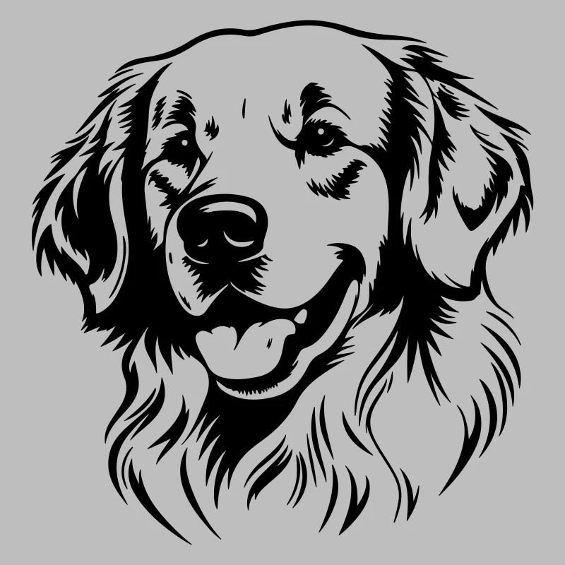 Golden Retriever Hund Kopf
