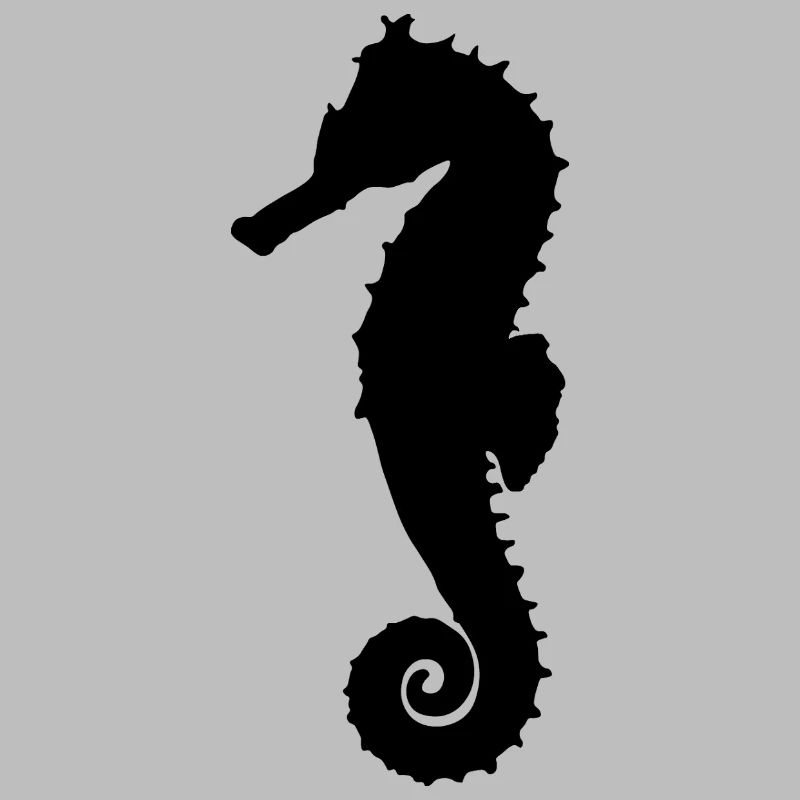 Seepferdchen schwarz