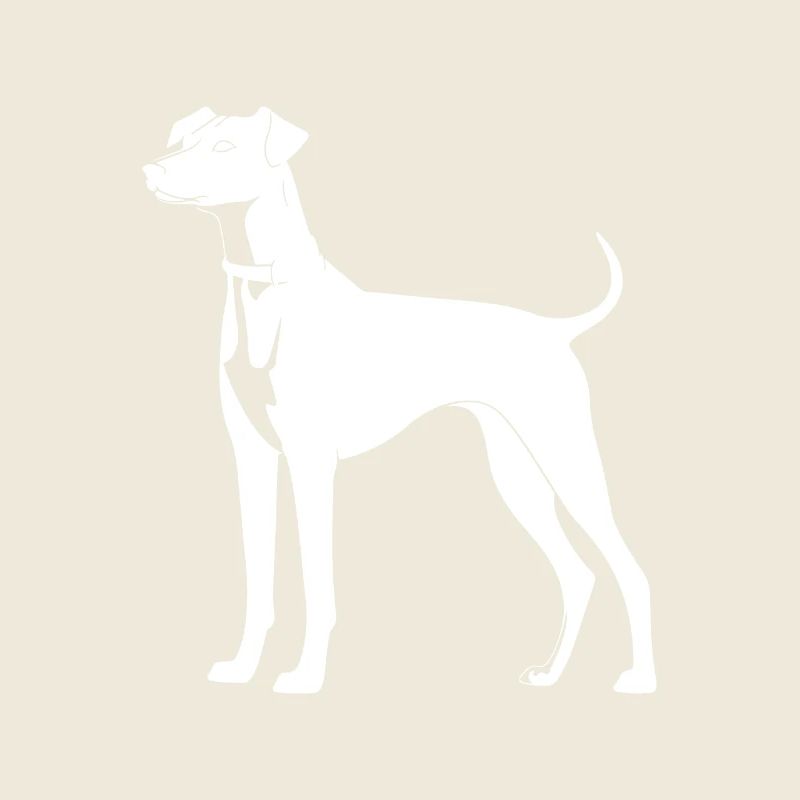 Silhouette de chien whippet