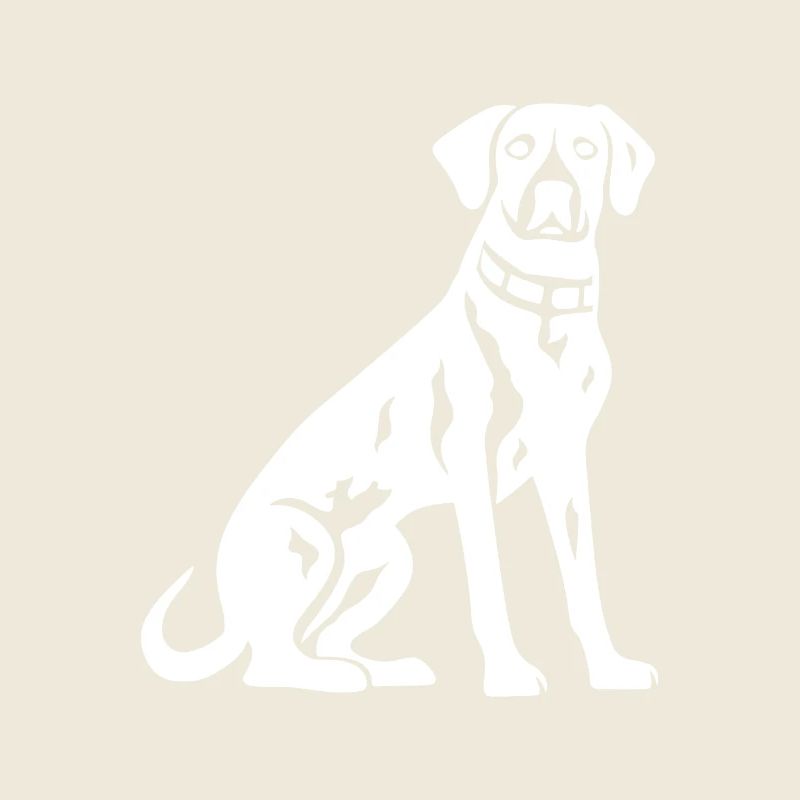 Dalmatiner Hund Silhouette