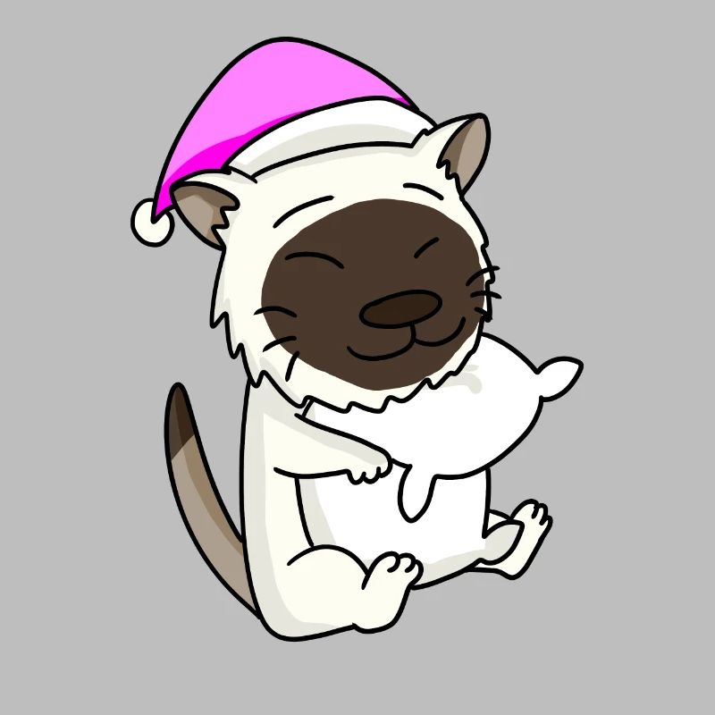 Chat race de chat Birmanie