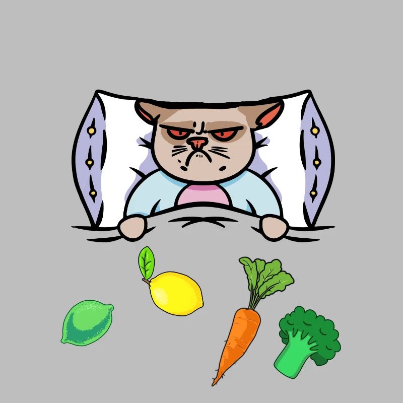 Chat Grippe Lit Vitamines Santé Malade