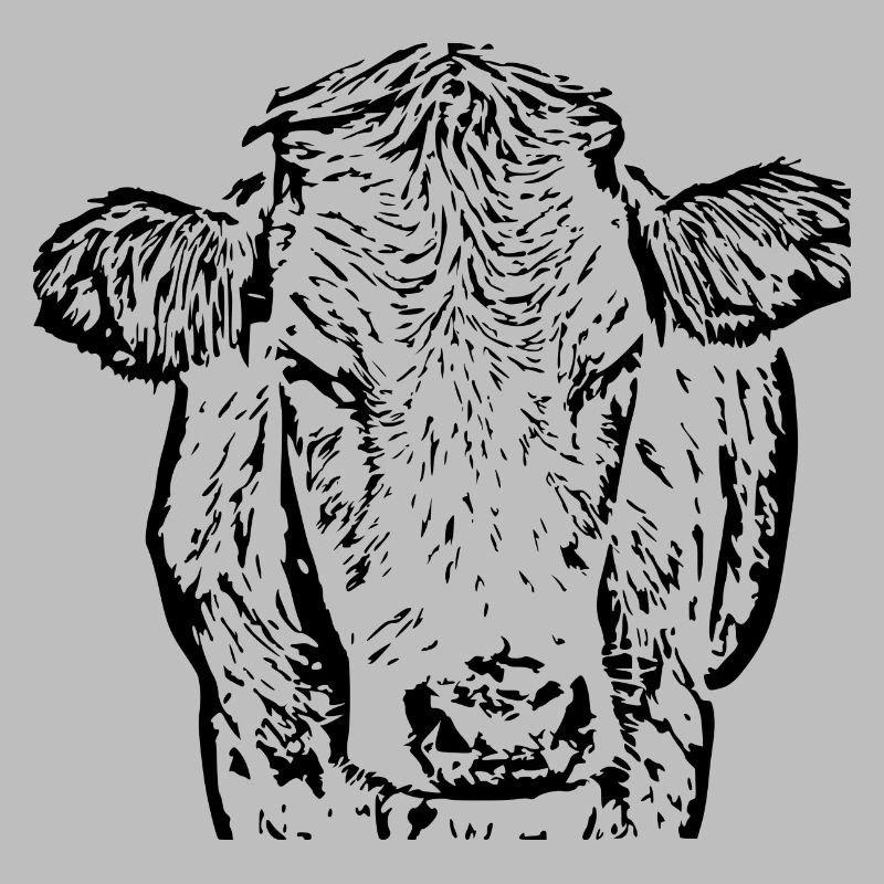 Cow Black Cow Head