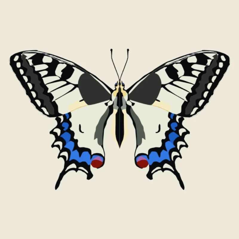 Schmetterlinge: Der Schwalbenschwanz