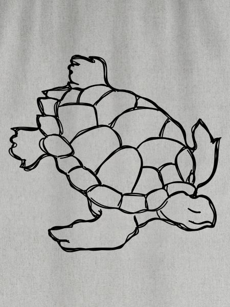 Schildkröte