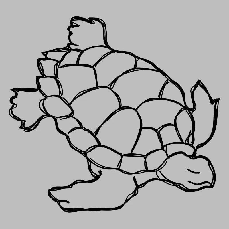 Schildkröte