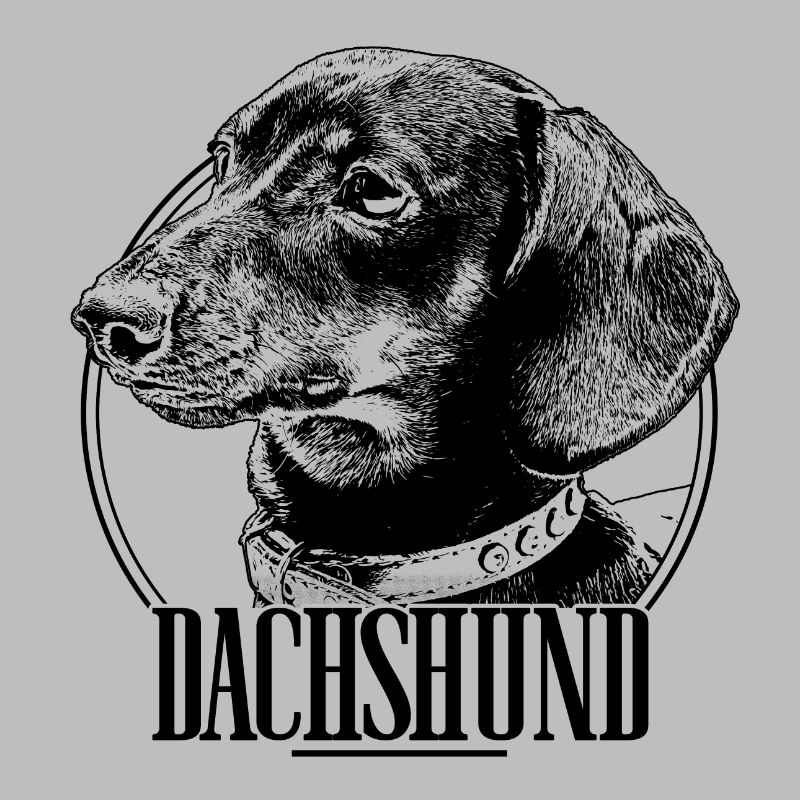 Dachshund Dackel Teckel