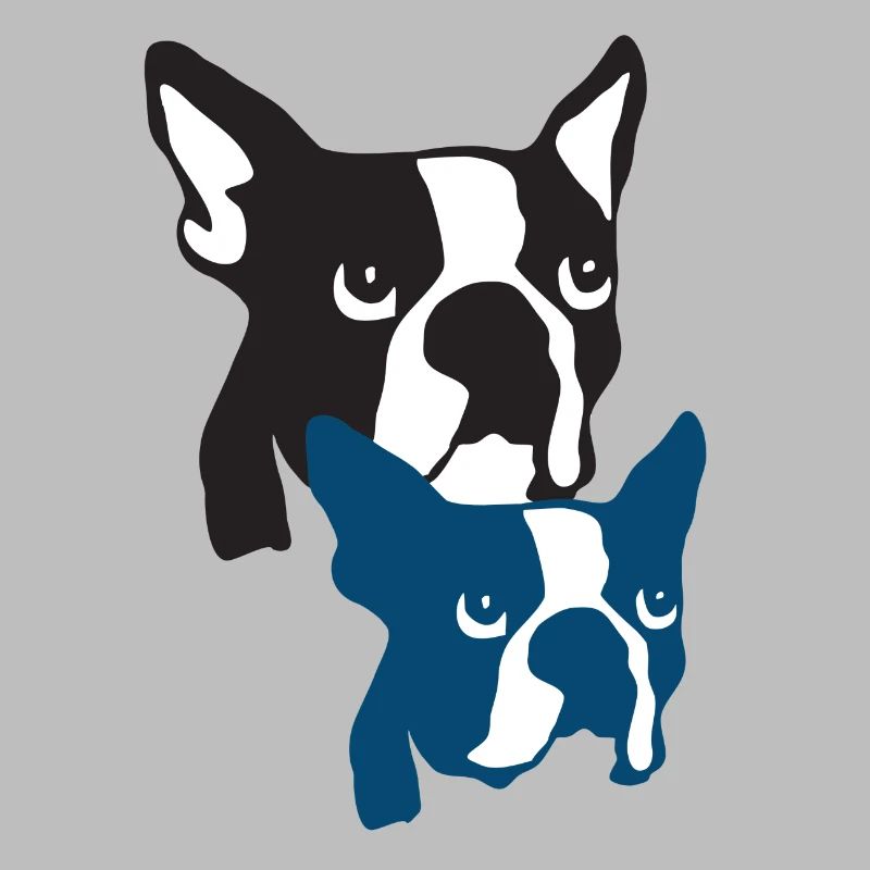 Boston Terrier os de tigre