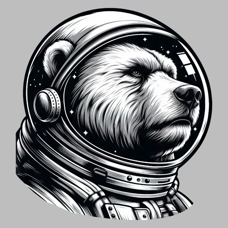 Ours, Astronaute, Espace, Espace