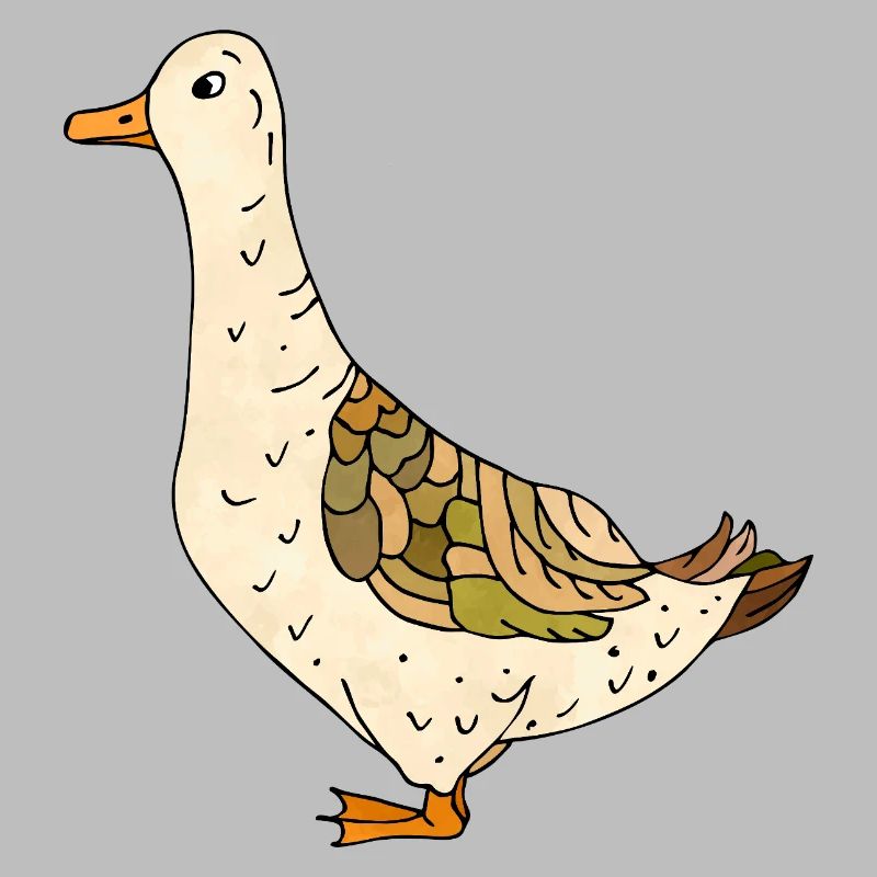 duck