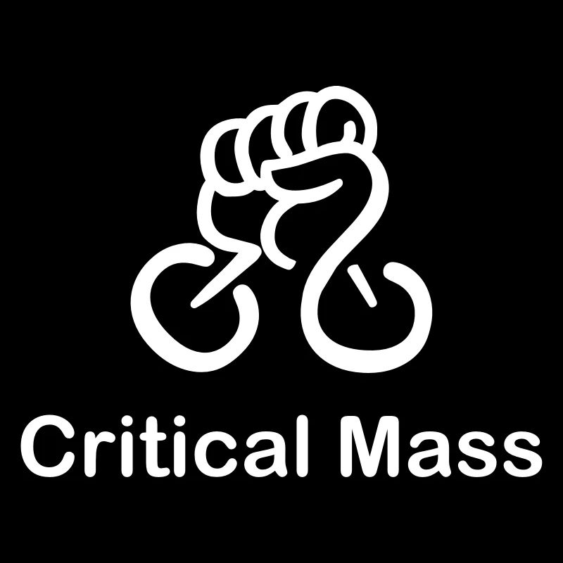 Critical Mass organized cyclist's accident