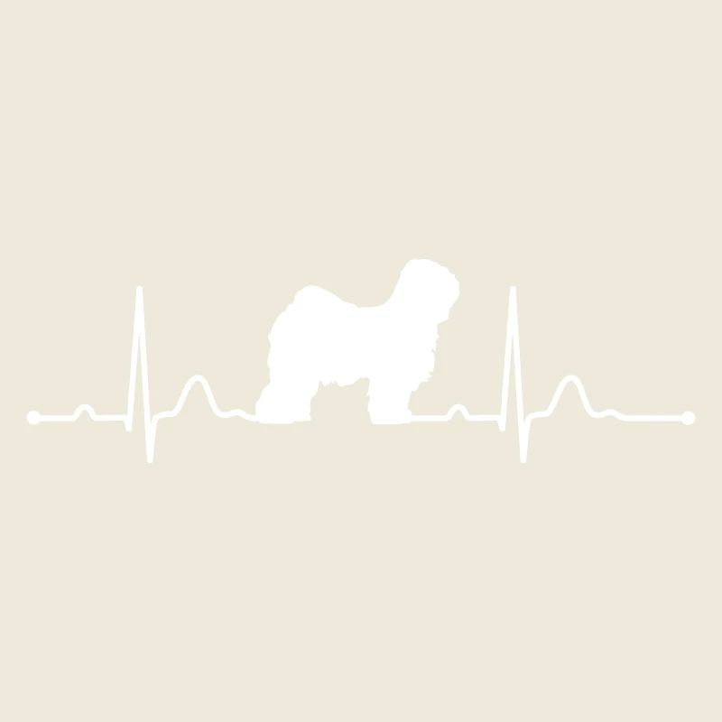 TIBET TERRIER heartbeat Rythme cardiaque