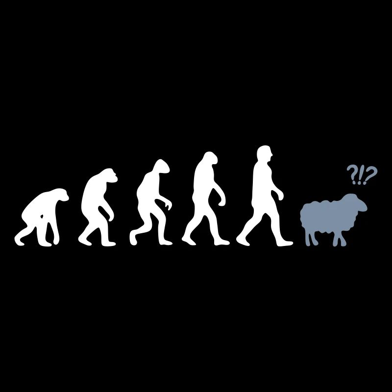 evolution mouton
