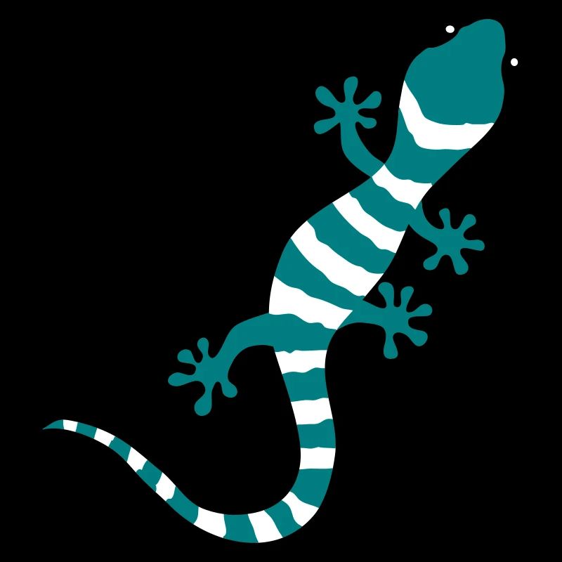 Gecko Salamander Lizard Reptile climbing gift