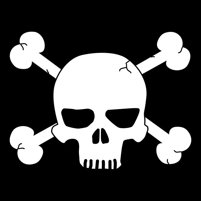 skull with bones / pirate