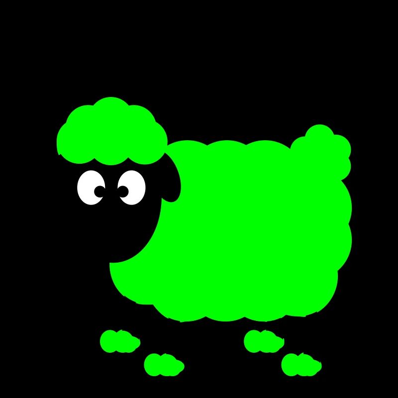 sheep