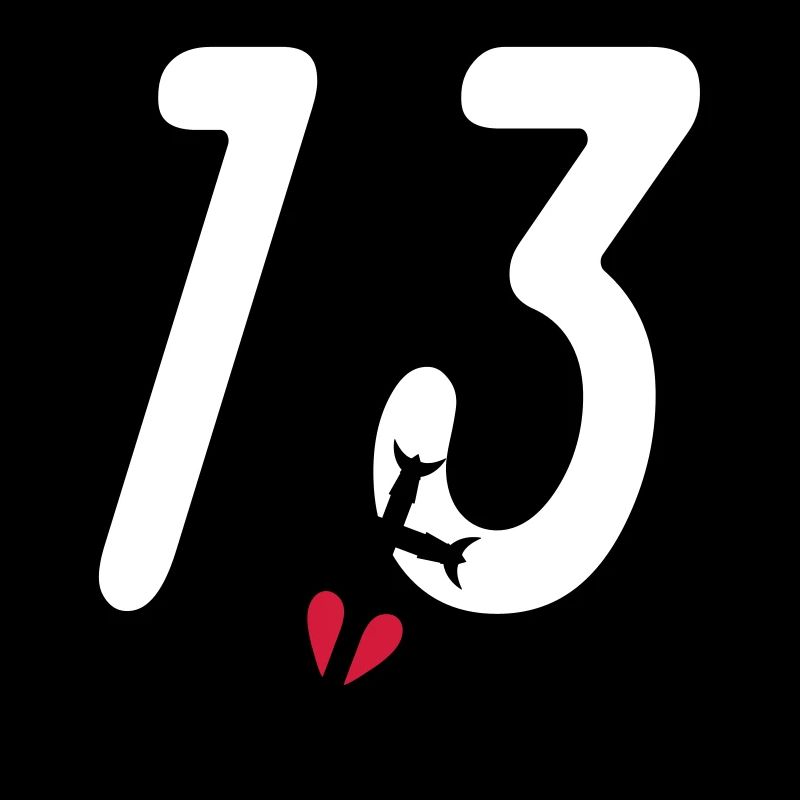 Bouches du rhone 13 camargaise cross