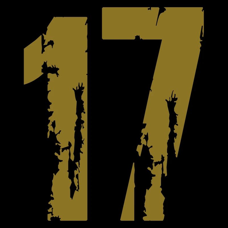 17 - Nummer