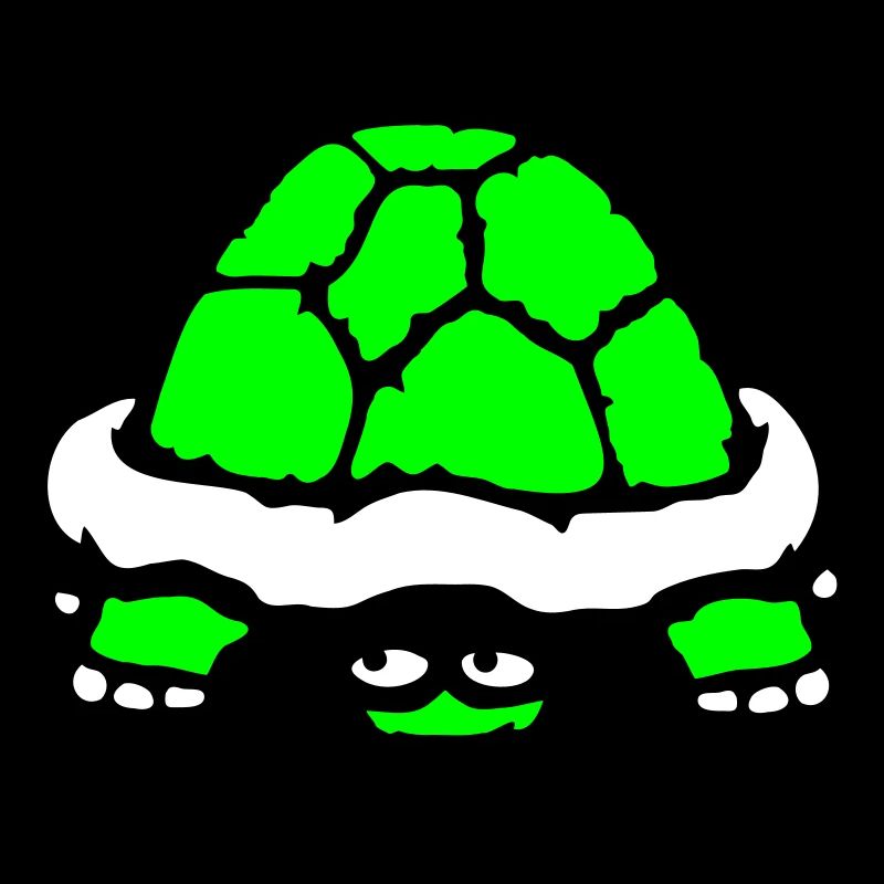 Turtle Hidden Shy Funny Grin